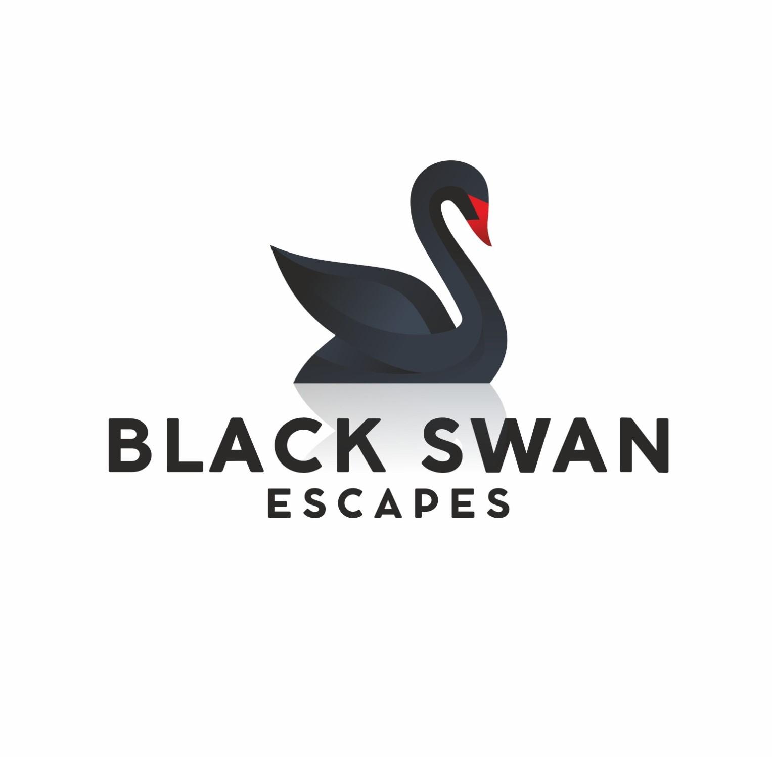 WhatsApp Image 2025-03-09 at 22.15.15